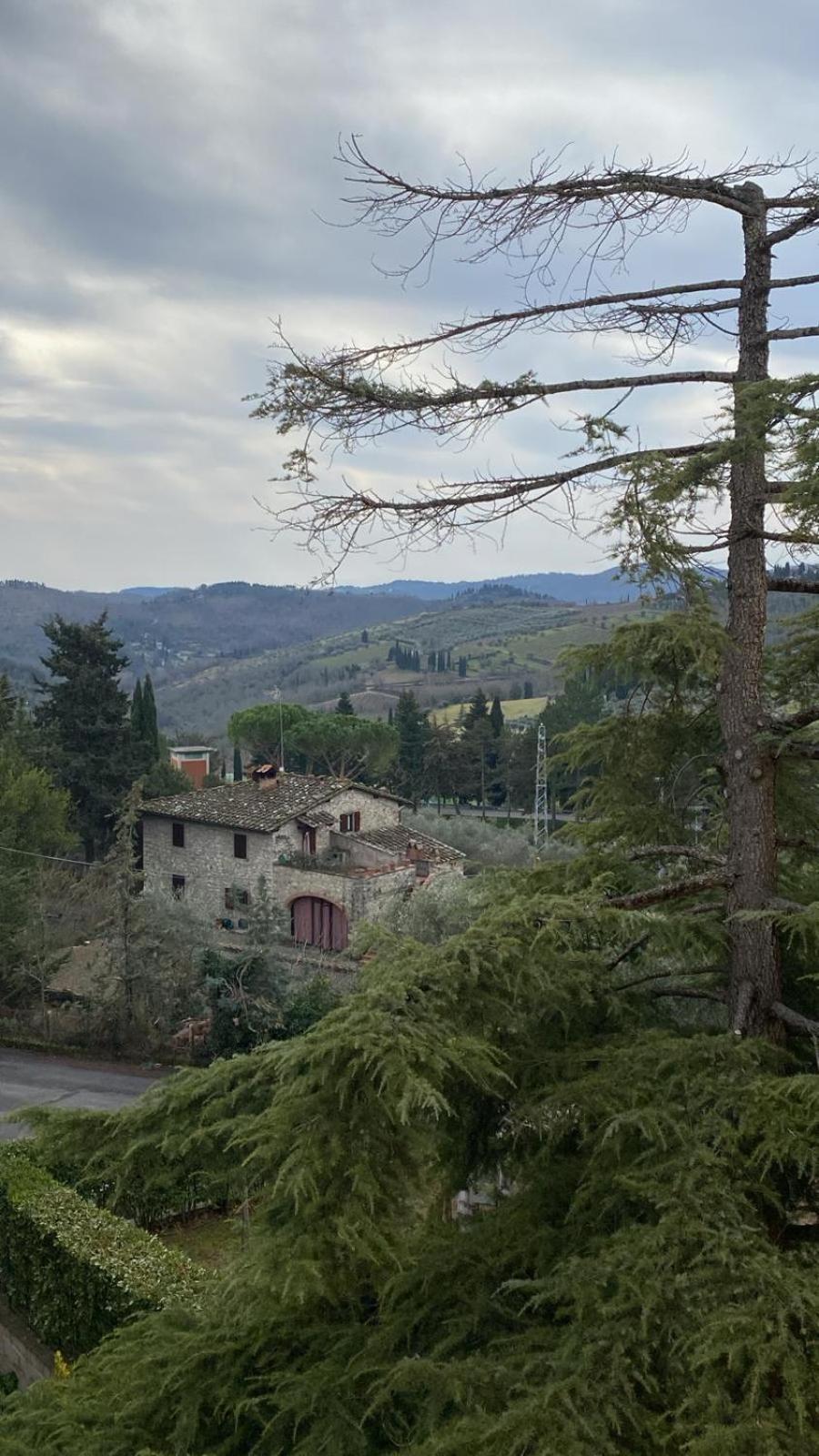 Casa Lilio Apartment Radda in Chianti Bagian luar foto
