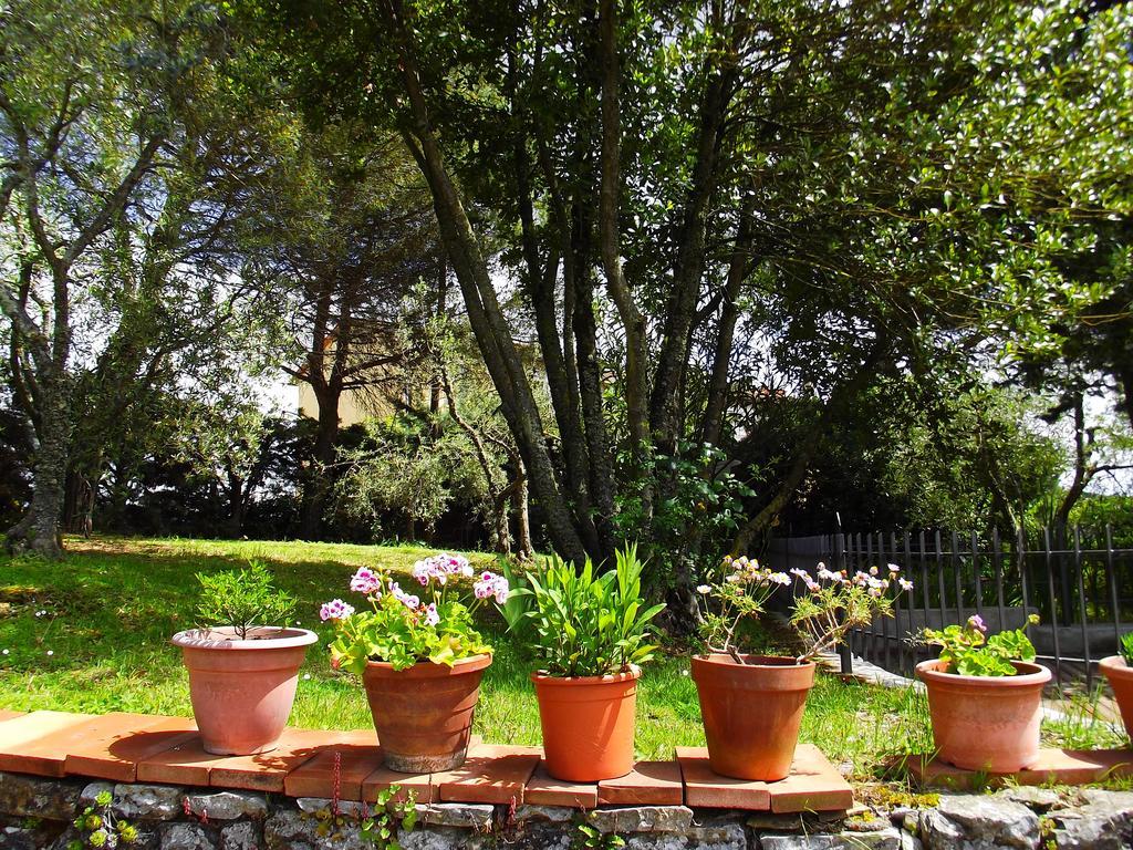 Casa Lilio Apartment Radda in Chianti Bagian luar foto